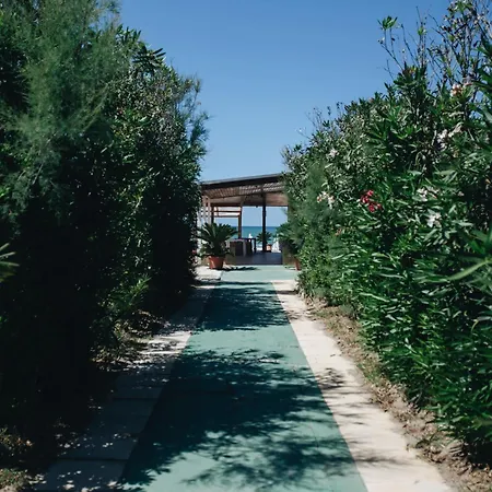 Balivo